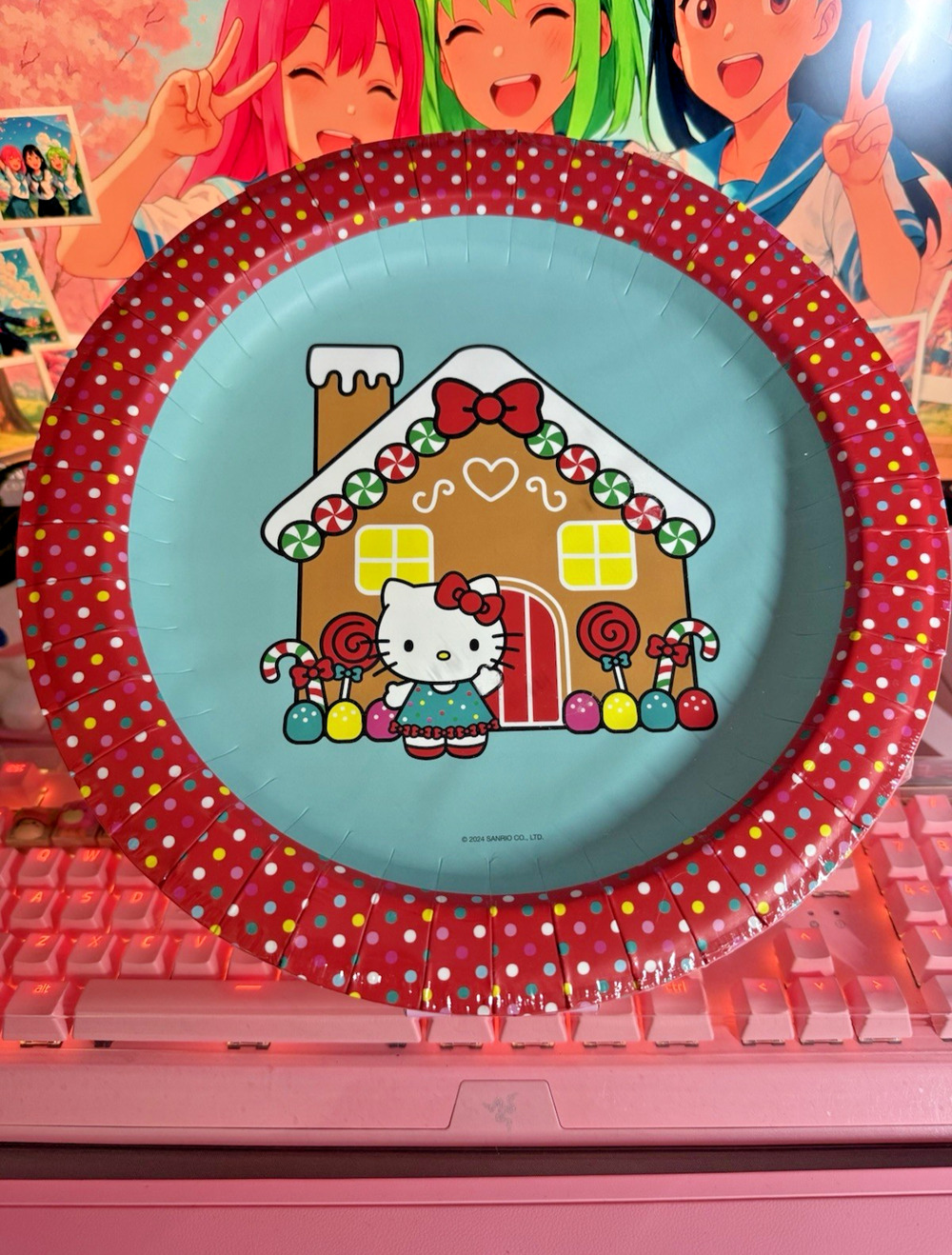 Hello Kitty Christmas Lunch Plates Gingerbread House 16 Paper 10.5” 2024 Sanrio
